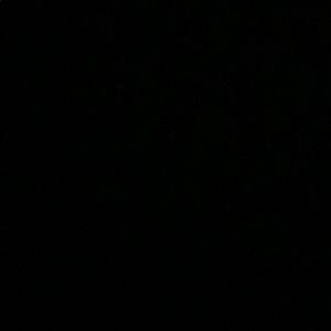 Meet your Posher, Abigail